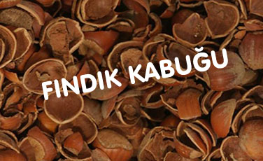 Fındık kabuğu