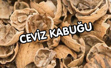 Fındık kabuğu